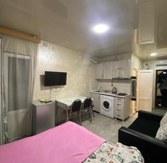 استودیو استاندارد با بالکن, уютная студия Maksim