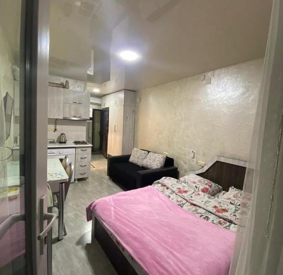 استودیو استاندارد با بالکن, уютная студия Maksim