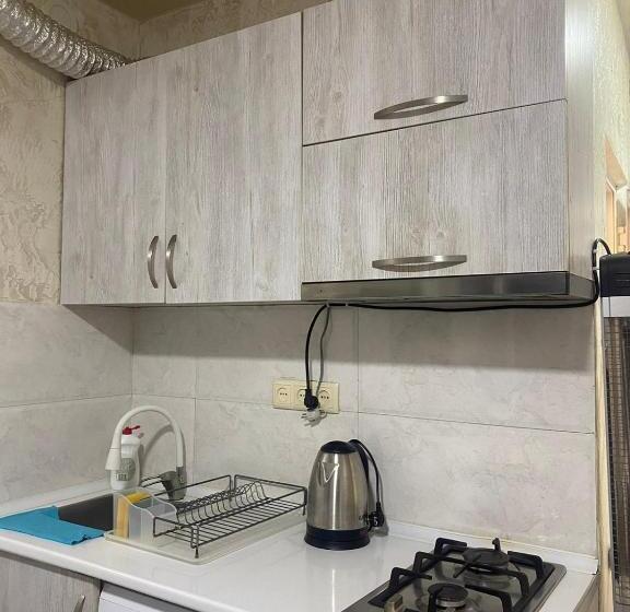 استودیو استاندارد با بالکن, уютная студия Maksim