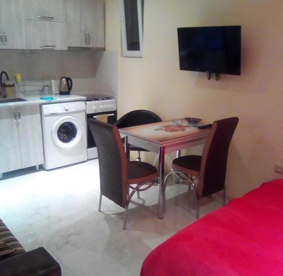 اتاق استاندارد, уютная студия Maksim