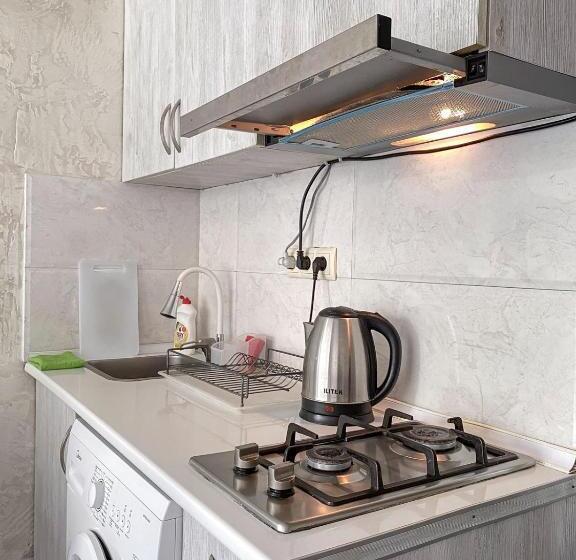 استودیو استاندارد با بالکن, уютная студия Maksim