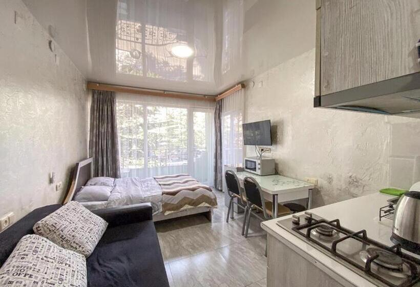 استودیو استاندارد با بالکن, уютная студия Maksim