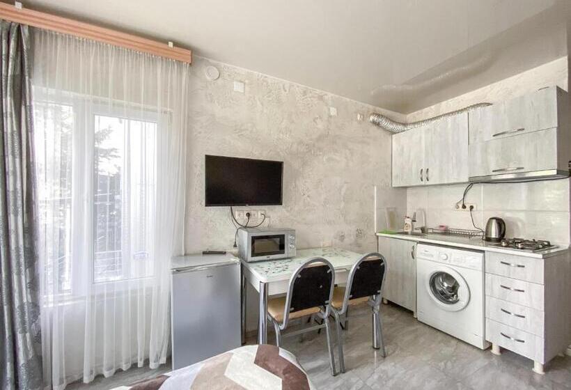 استودیو استاندارد با بالکن, уютная студия Maksim