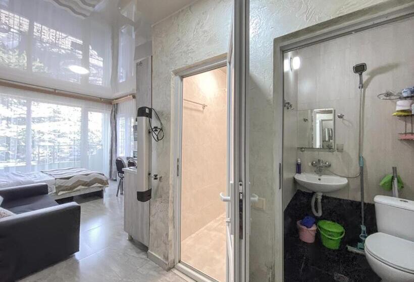 استودیو استاندارد با بالکن, уютная студия Maksim