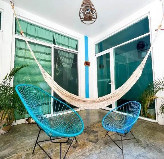 سوییت, Casa Daikiri