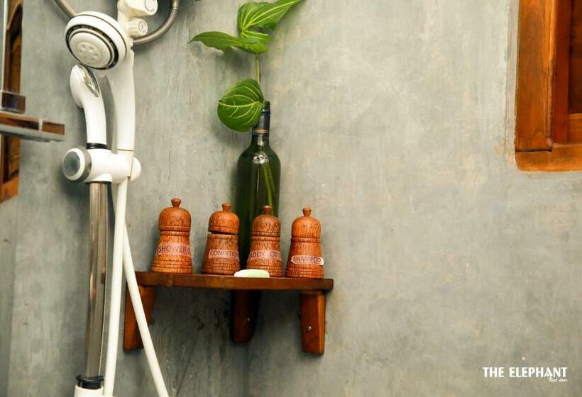 غرفة قياسية, The Elephant Next Door