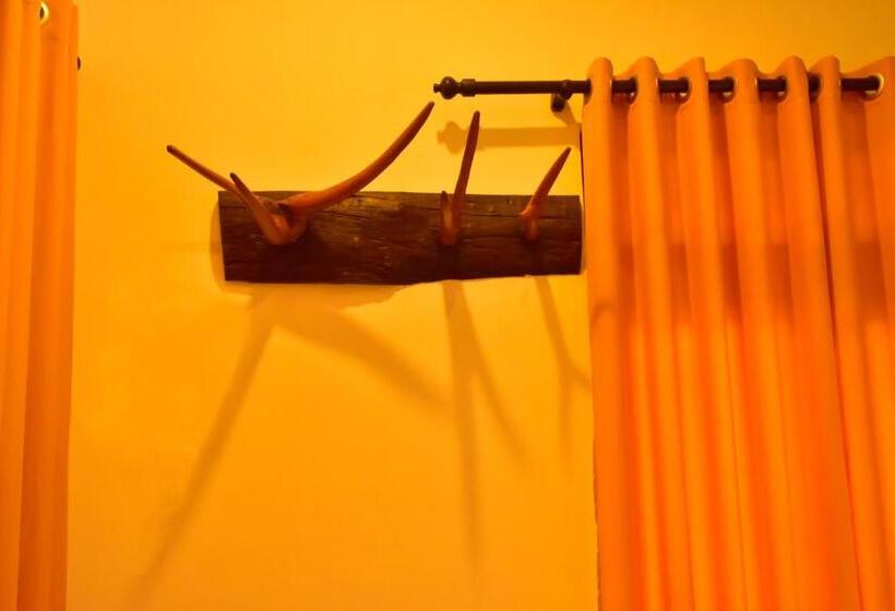 חדר סטנדרט, The Elephant Next Door