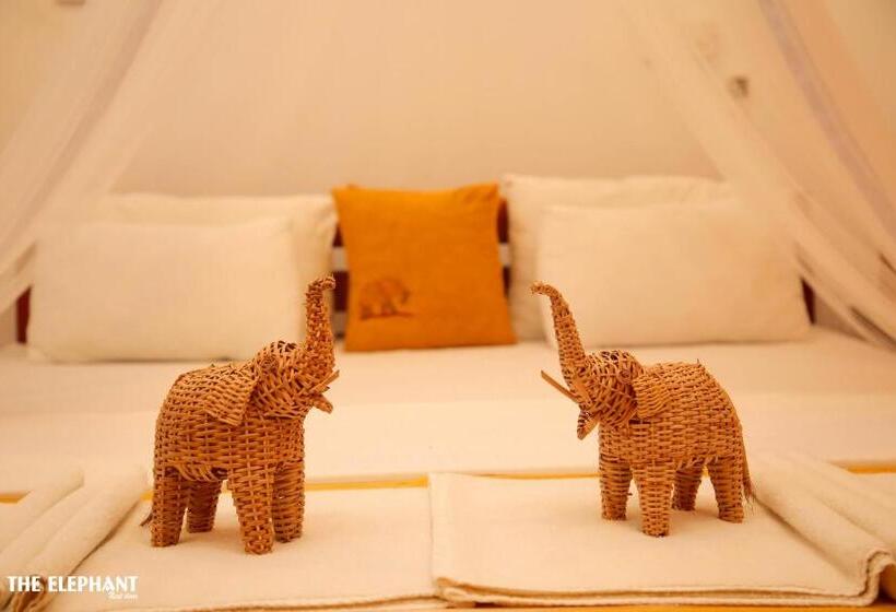 חדר סטנדרט, The Elephant Next Door