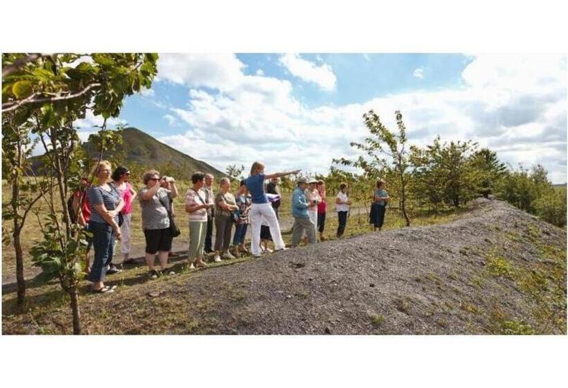 스탠다드 룸 킹사이즈 침대, Appart'hôtel Et Chambres Lens