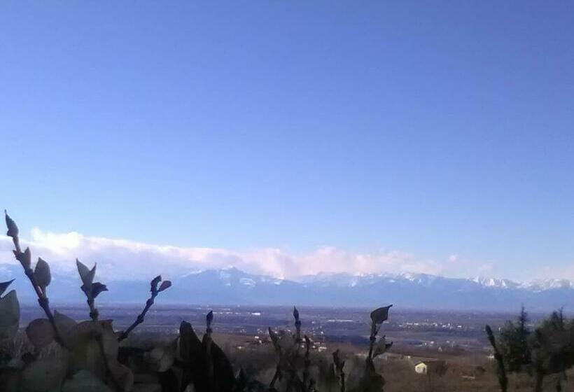 חדר סטנדרט, Blueberry Rooms