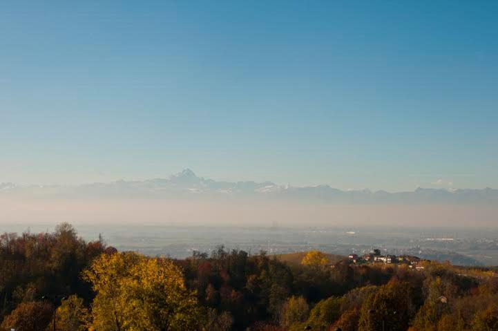 חדר סטנדרט, Blueberry Rooms