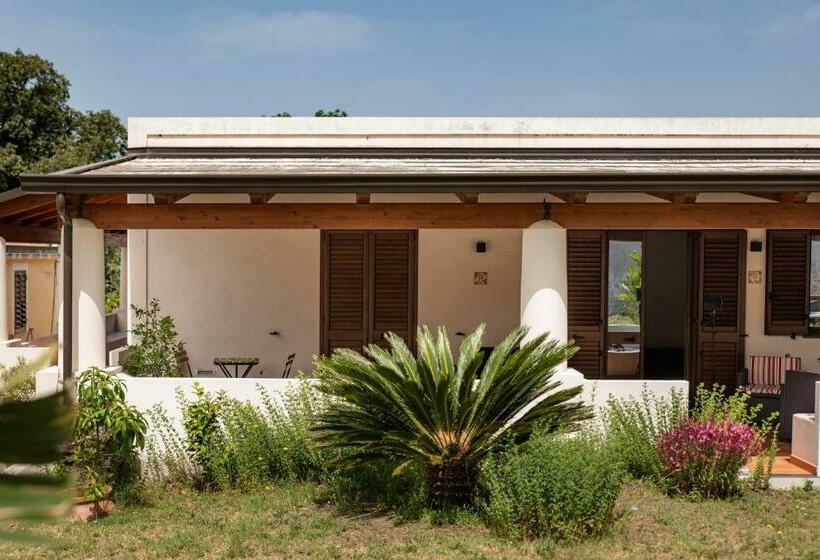 غرفة قياسية فردية, Maria Tindara La Locanda