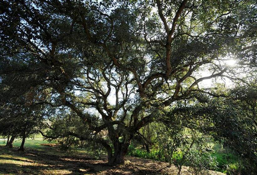 Вилла Deluxe 1 Спальня, Senteurs Du Maquis