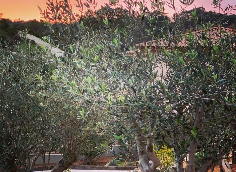 Вилла Deluxe 1 Спальня, Senteurs Du Maquis