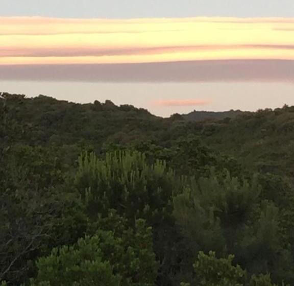 Студия Deluxe, Senteurs Du Maquis