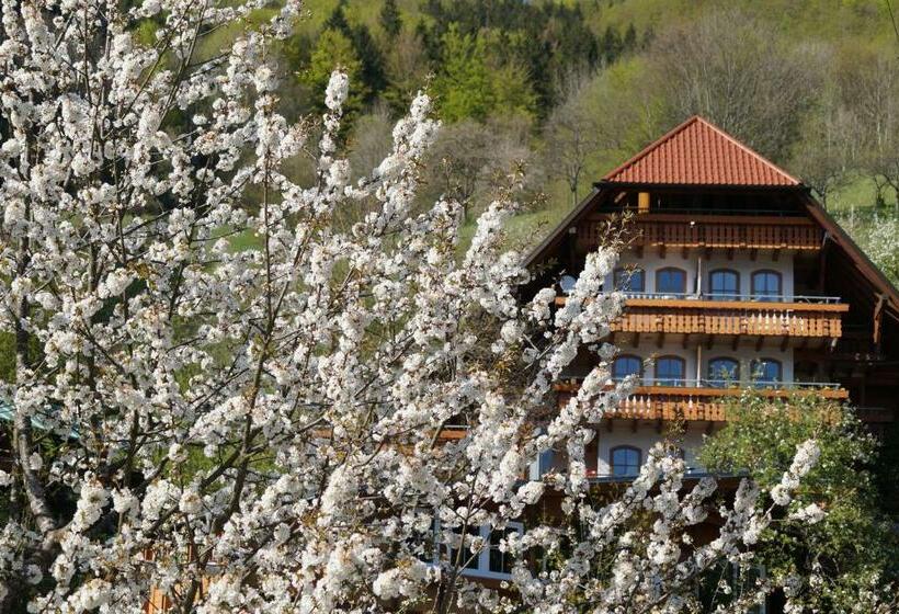 Estúdio Standard, Ehrenmättlehof Faißt