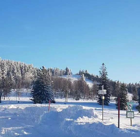 １ベッドルームアパートメント, Ehrenmättlehof Faißt