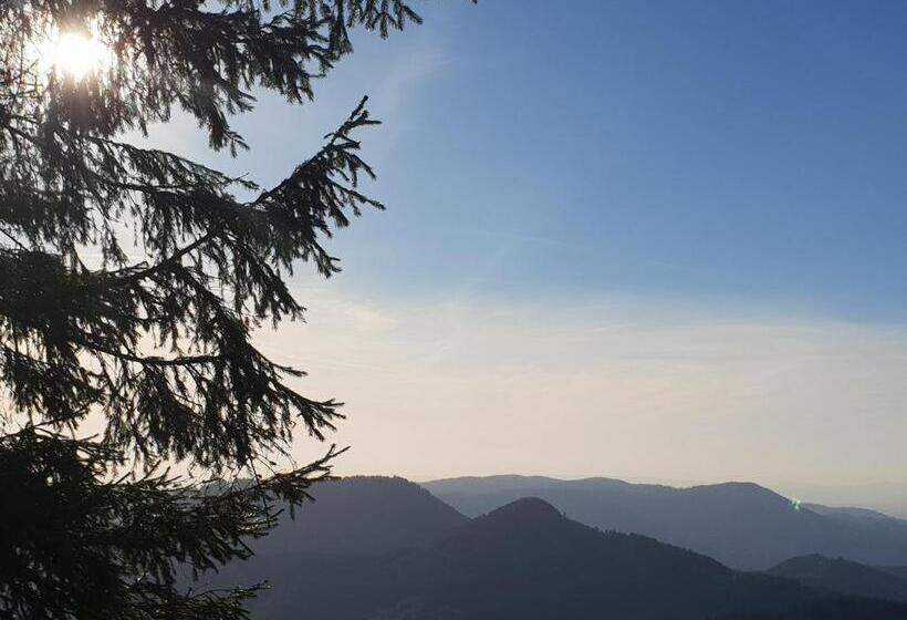 Apartamento 1 Quarto, Ehrenmättlehof Faißt