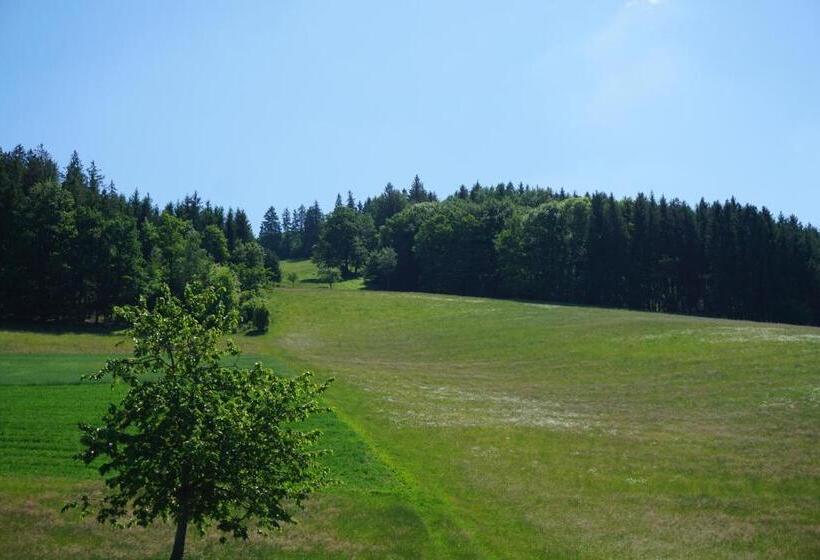 Апартаменты 1 Спальня, Ehrenmättlehof Faißt