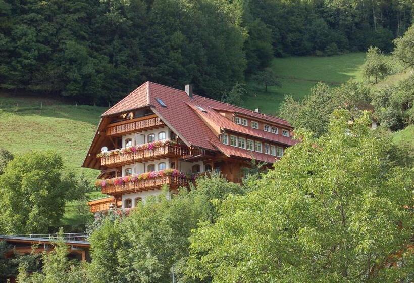 Apartamento 2 Quartos, Ehrenmättlehof Faißt