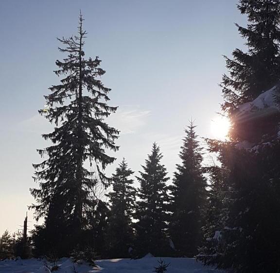 Apartamento Deluxe 1 Quarto, Ehrenmättlehof Faißt