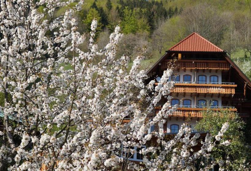 Apartamento Deluxe 1 Quarto, Ehrenmättlehof Faißt