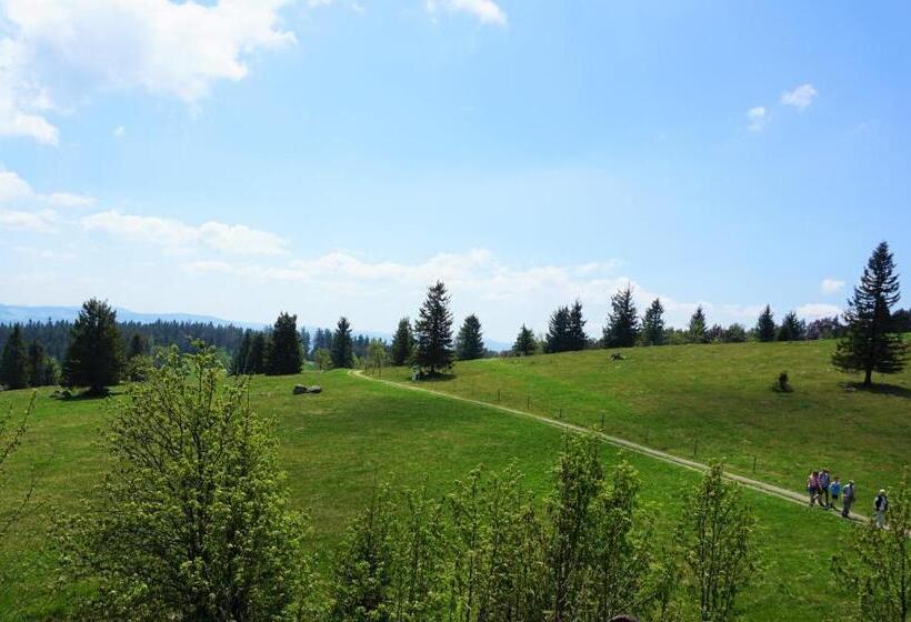 Apartamento Deluxe 1 Quarto, Ehrenmättlehof Faißt