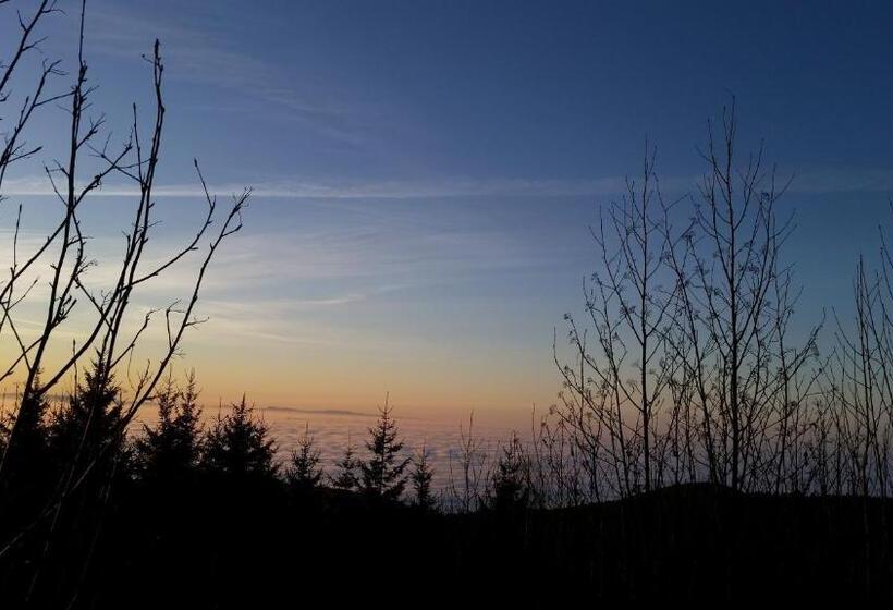 Estúdio Standard, Ehrenmättlehof Faißt