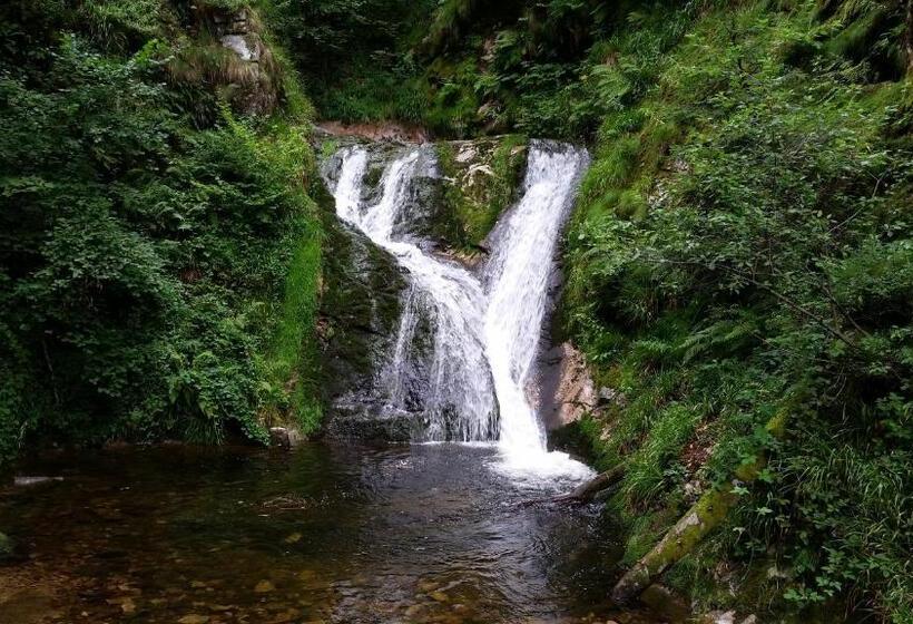 Apartamento 1 Quarto, Ehrenmättlehof Faißt