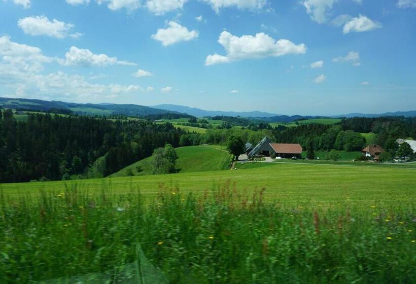 Apartamento Deluxe 1 Quarto, Ehrenmättlehof Faißt