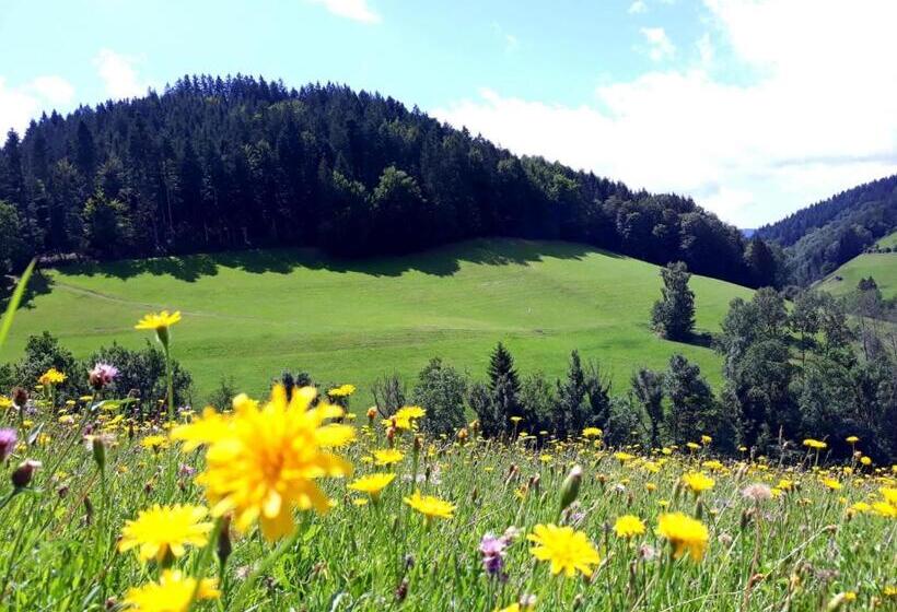 Apartamento Deluxe 1 Quarto, Ehrenmättlehof Faißt