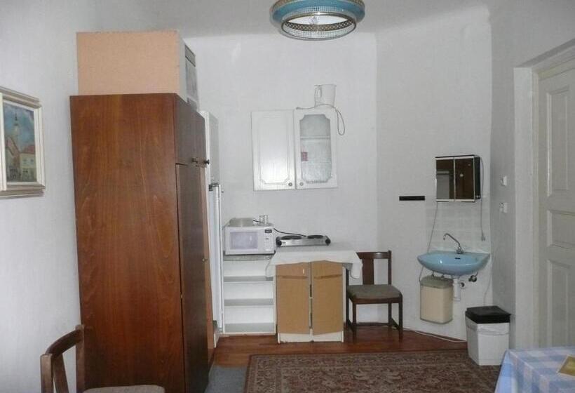 Quarto Estandar Individual, Apartment Trojska