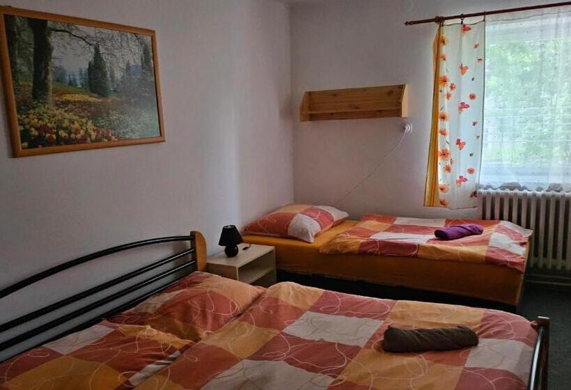 浴室共有スタンダード４人用ルーム, Penzion Tomy Pihlov