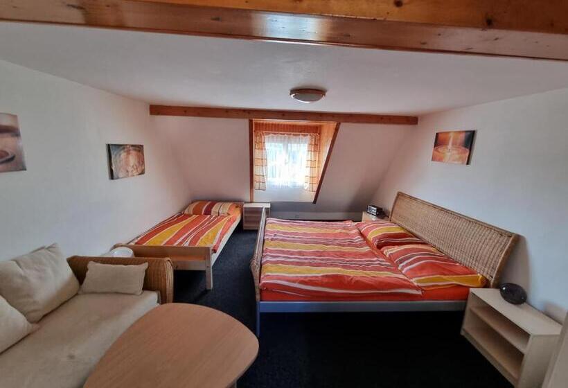 バスルーム共有のトリプルスタンダード, Penzion Tomy Pihlov