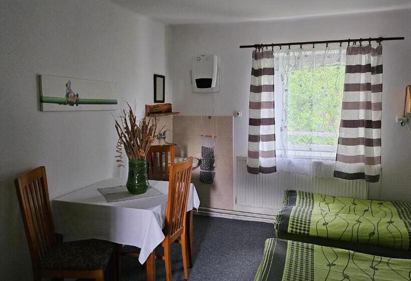 浴室共有ファミリールーム, Penzion Tomy Pihlov