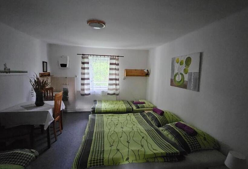 浴室共有ファミリールーム, Penzion Tomy Pihlov