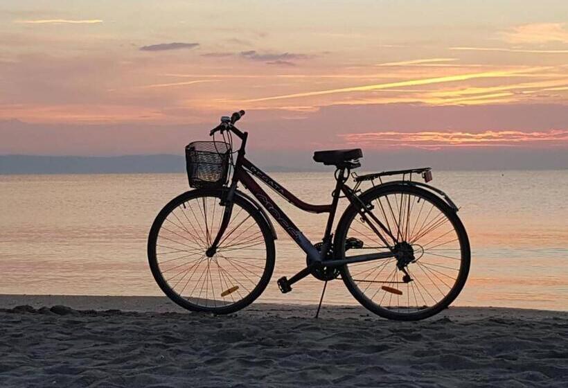 חדר דלוקס לשלושה, Veda Guest House