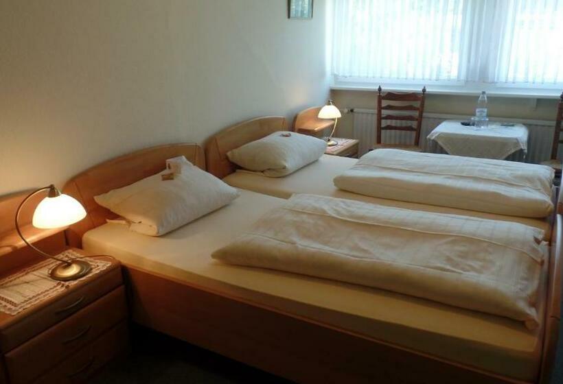 スタンダードルーム, Pension Auf Der Olk Mit Röpertsmühle