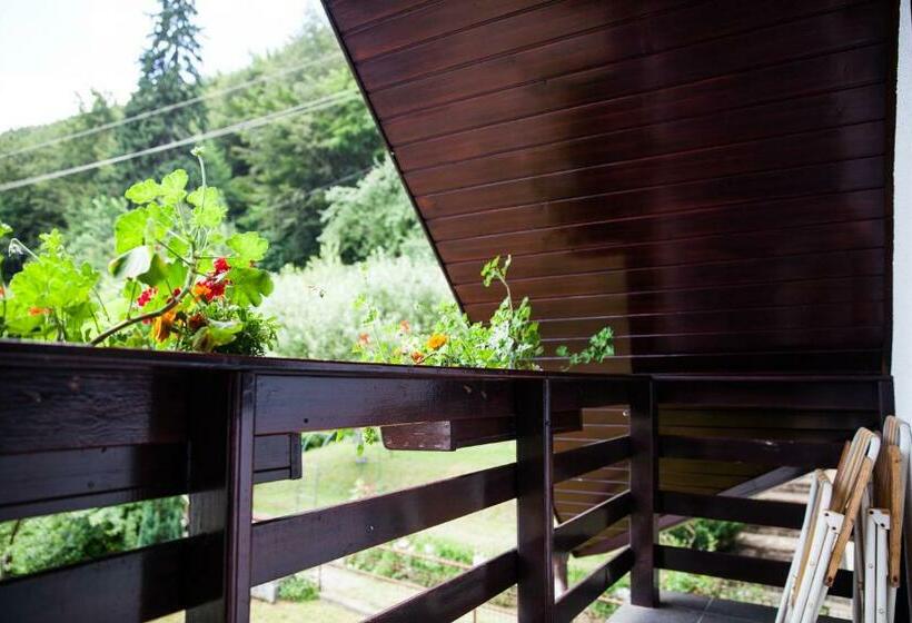 标准间, Pension Marina