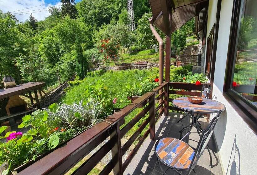 标准间, Pension Marina