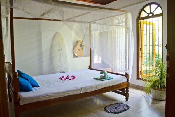 Deluxe Zimmer, Surfing Wombats