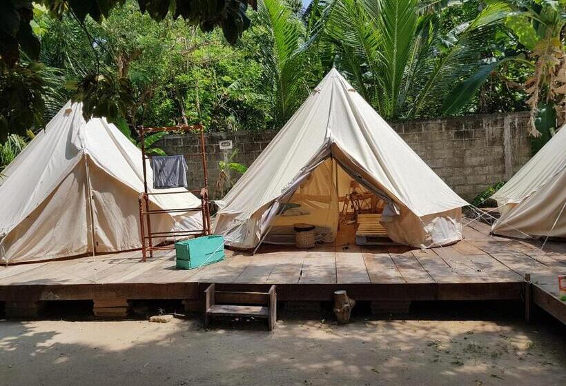 Standard Zelt, Surfing Wombats