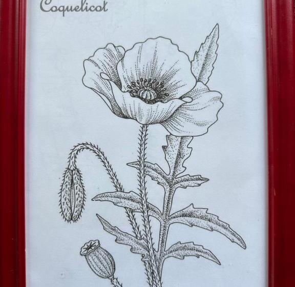 家庭间, La Ferme De Maraval