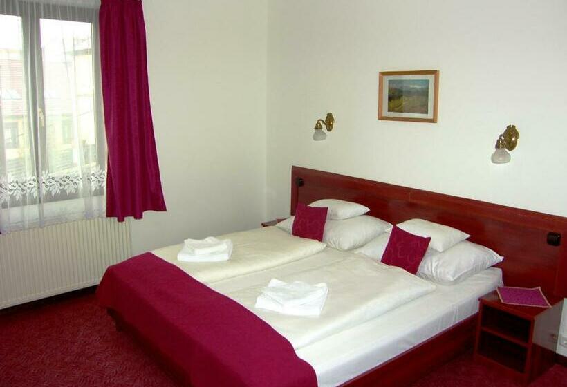 Номер Стандарт, Adler