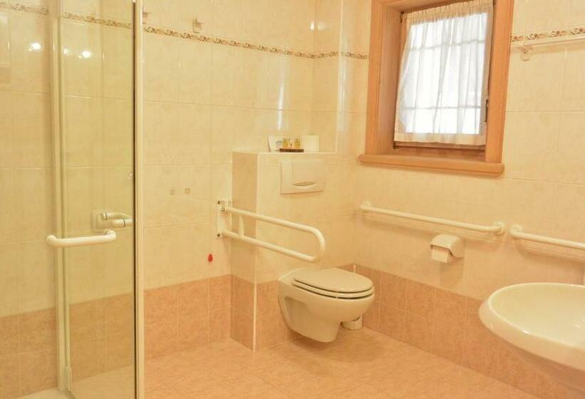 标准单人间, Garnì Al Plan