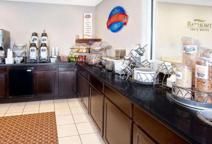 جناح ديلوكس, Baymont By Wyndham Howell/brighton