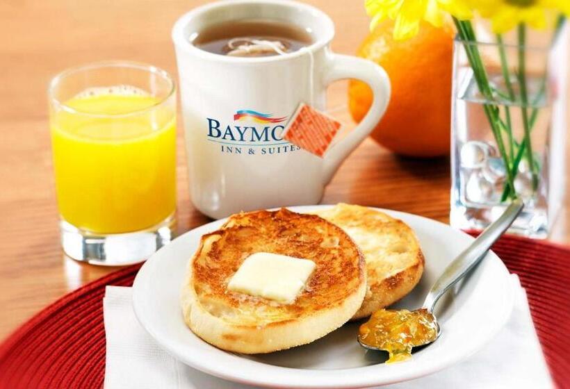 غرفة قياسية سرير كينج لذوى الإحتياجات الخاصة, Baymont By Wyndham Howell/brighton