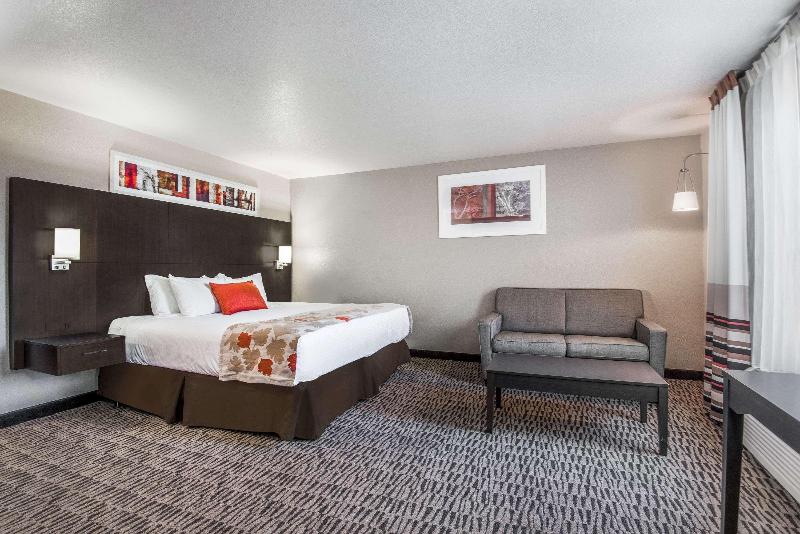 جناح سرير كينج, Baymont By Wyndham Howell/brighton