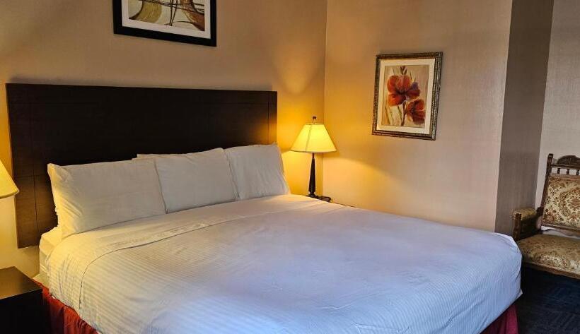 デラックスルーム, Bellis Inn