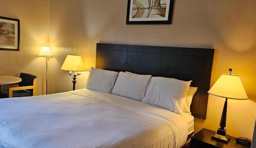 جناح ديلوكس, Bellis Inn